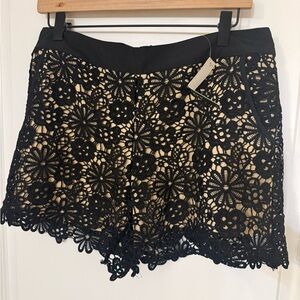 NWT Monte’s Shirts XL